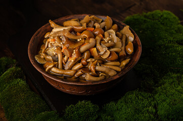A large clay bowl with wild mushrooms (honey mushrooms), stands on an old wooden table with green moss. Eco products, natural gathering