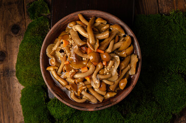 A large clay bowl with wild mushrooms (honey mushrooms), stands on an old wooden table with green moss. Eco products, natural gathering