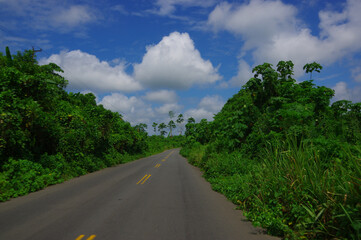 Fototapeta na wymiar Paved road in the coast, surrounded with abundat vegetation in a sunny day in the Ecuadorian coasts