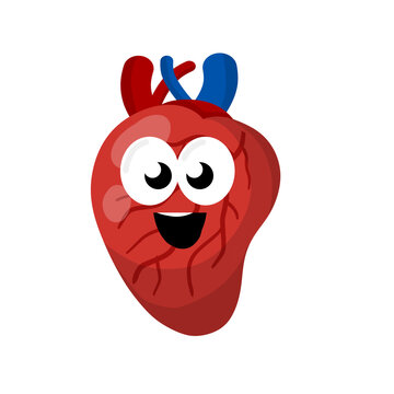 Heart. Human internal organ. Medicine and cardiology. Happe character and funny cute smile mascot. Cartoon flat illustration
