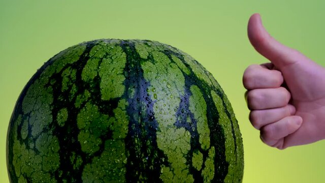 White woman checks striped watermelon for ripeness on green background. Girl is tapping pipe watermelon with fingers and thumbs up for approving good fruit. Healthy summer food concept, season fruit. 