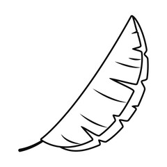 sago leaf icon, line style