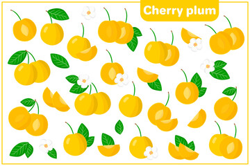 Set of vector cartoon illustrations with Cherry Plum exotic fruits, flowers and leaves isolated on white background