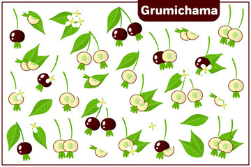 Set of vector cartoon illustrations with Grumichama exotic fruits, flowers and leaves isolated on white background