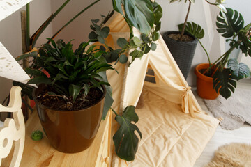 interior of a children's room or recreation area: a wigwam with soft pillows, a wooden nightstand made of environmentally friendly materials. plastic plants to decorate the space © skeronov