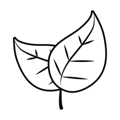 coffee leaves icon, line style