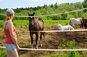 The bay trotter and its female owner are standing next to the electric fence.