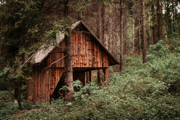 Fototapeta na wymiar Wooden Cabin in the Forest