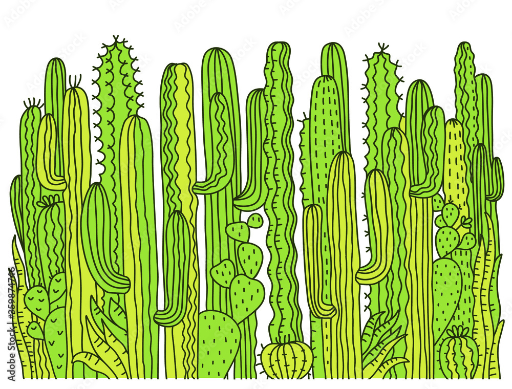 Wall mural cactuses frame background. green succulent vector hand drawn illustration for text or design isolate