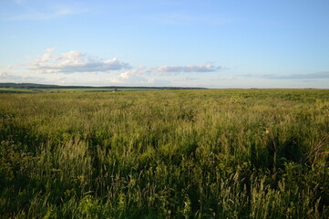 Landscape - field