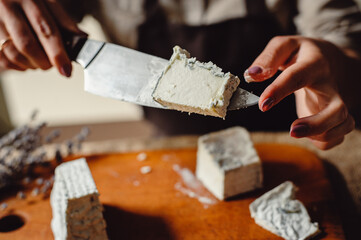 A piece of Valencay cheese on a knife. Cut the cheese with blue mold, close-up. Cheesemaker cuts french soft cheese with blue mold, closeup.