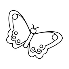 beautiful butterfly icon, line style