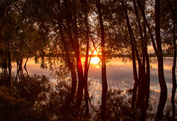 Fototapeta na wymiar A magnificent sunset over the lake was photographed through the trees.