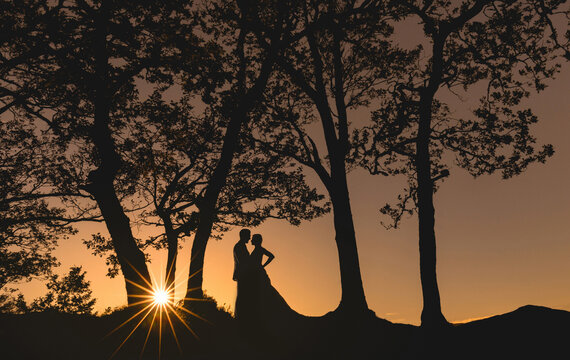 silhouette of a bride and groom wedding couple at sunset in the trees, sun flare and an orange sky