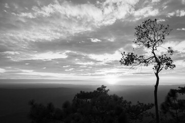 Beautiful sunset sky with clouds in black and white at Pha Lom Sak, Phu Kradueng. Loei - Thailand