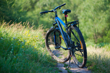 Fototapeta na wymiar bike stands on a path in the green grass