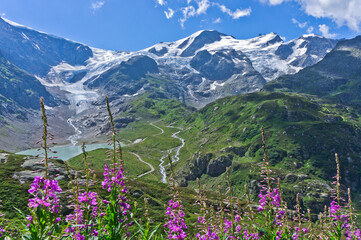 Switzerland, Alps, Europe