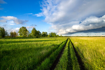 Road in the field among green grass and beautiful sky in the evening.