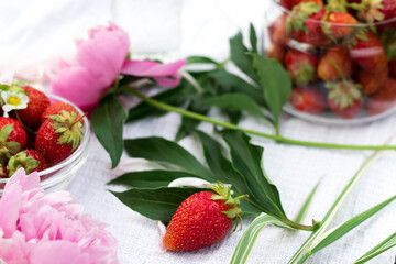 Strawberries with a glass plate on the table in the garden. Flowers and berries lie on a light tablecloth in the greenery