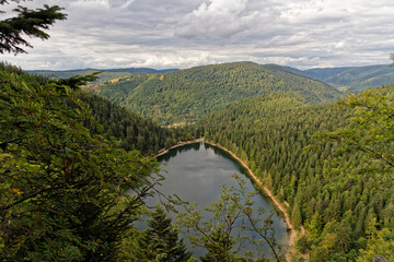 Scenic top view of mountain lake surrounded by trees, Vosges, France