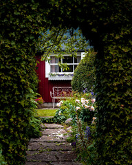 Fototapeta premium View through a an arch of ivy into a mystic garden with flowers, a bench and a red facade with white window in summer time
