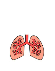 肺(色)