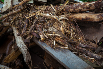 Old boards, sticks and garbage close-up.