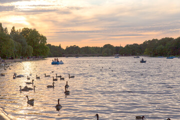 Sunset at Park Hyde Lake in London