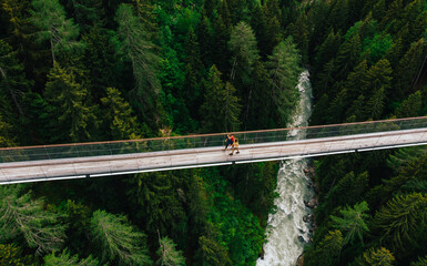 Aerial view of rope walkway through treetops in coniferous forest. Bird's eye view of hanging...