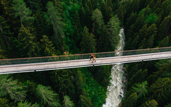 Aerial view of rope walkway through treetops in coniferous forest. Bird's eye view of hanging bridge crossing raging mountains river, suspension bridge with walking people traveller - Powered by Adobe