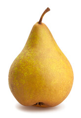 bosc pear