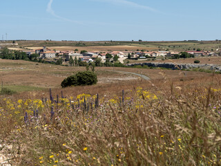 Fototapeta premium petroleum,