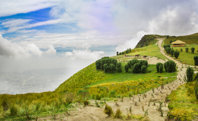 Panoramic view at the Pichincha volcano, with some native andes plants and horses with a typical hut in the horizont, in the top of Pichincha mountain in Quito, Ecuador