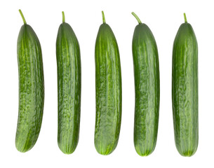 cucumber