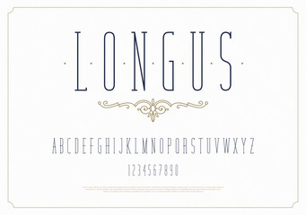 Elegant stylish font. Modern condensed serif typeface. English alphabet. Set of letters - uppercase and numbers. Vector illustration.
