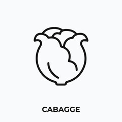 cabbage icon vector. cabbage sign symbol