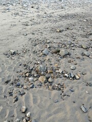 footprints on the beach