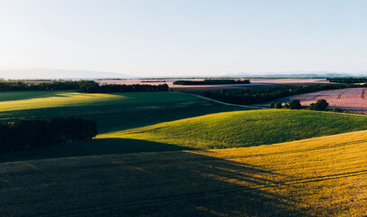Fototapeta premium Aerial scenic view of beautiful hilly valley with wheat field at sunset time. Countryside rural landscape of famous cultural Italy region, Tuscany fields with afternoon shadows