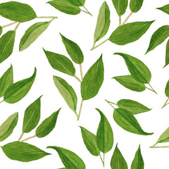 Watercolor hand drawn seamless pattern illustration with green tangerine citrus leaves. Natural organic elegant greenery design for textile, wrapping paper, wallpaper. Rustic forest botanic foliage