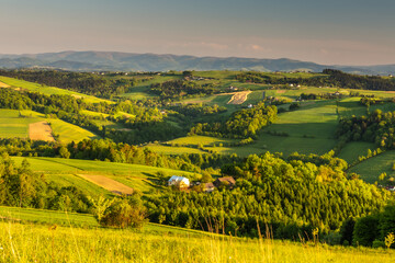Obraz premium Rożnów Foothills in spring time with green rolling fields