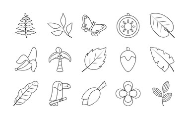 butterfly and tropical leaves icon set, line style