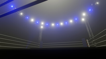 Fototapeta na wymiar 3D boxer arena. Isolated empty boxing ring with light. 3D rendering. Boxing ring with illuminated spotlights. Background