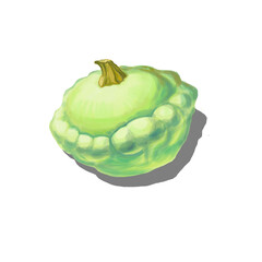 harvest illustration vegetable patison green