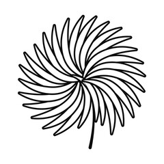 Fototapeta na wymiar tropical fan leaf icon, line style