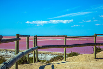  Pink Salt Water Estuary. Salt production