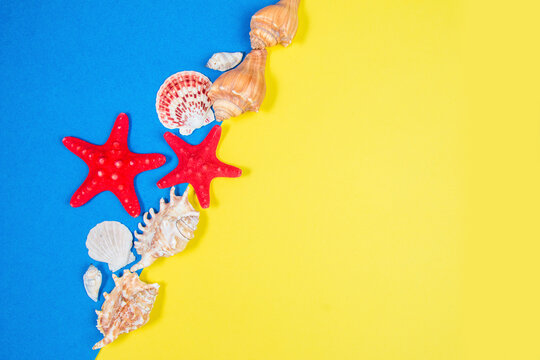 Starfish and seashells on a blue and yellow background