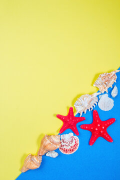 Starfish and seashells on a blue and yellow background