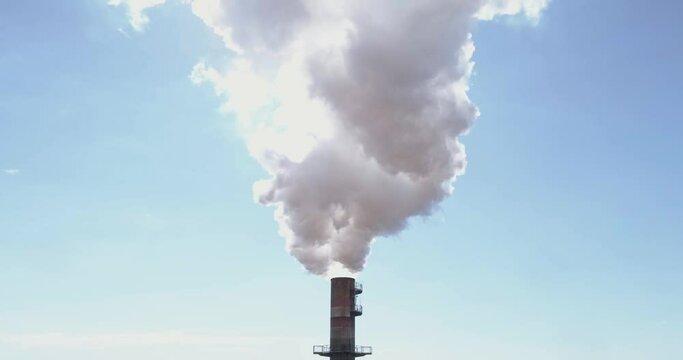 Sugarcane plant producing renewable energy. Ethanol industry. Alcohol.