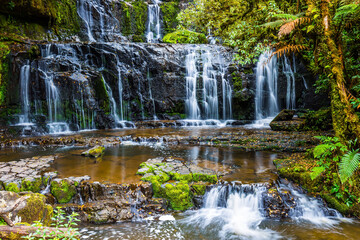Fototapeta na wymiar The green forest. Purakaunui Falls