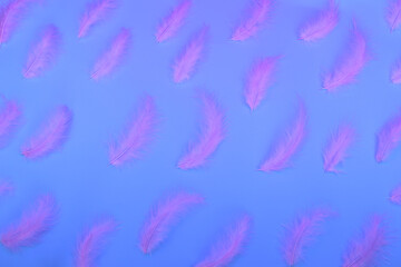 Pattern neon background. Pink feathers on a neon blue background. Copy space. Glowing neon. Trendy is design. 